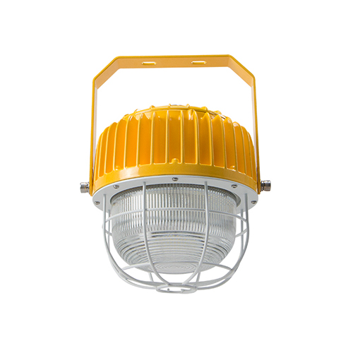 led canopy light (PL-GS-G) 